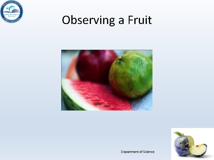 Observing a Fruit Department of Science 