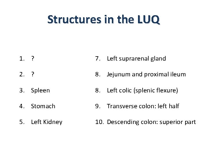 Structures in the LUQ 1. ? 7. Left suprarenal gland 2. ? 8. Jejunum