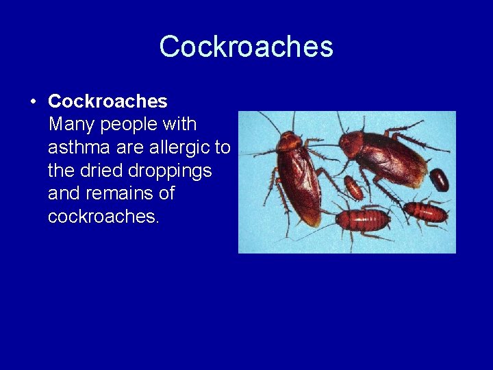 Cockroaches • Cockroaches Many people with asthma are allergic to the dried droppings and