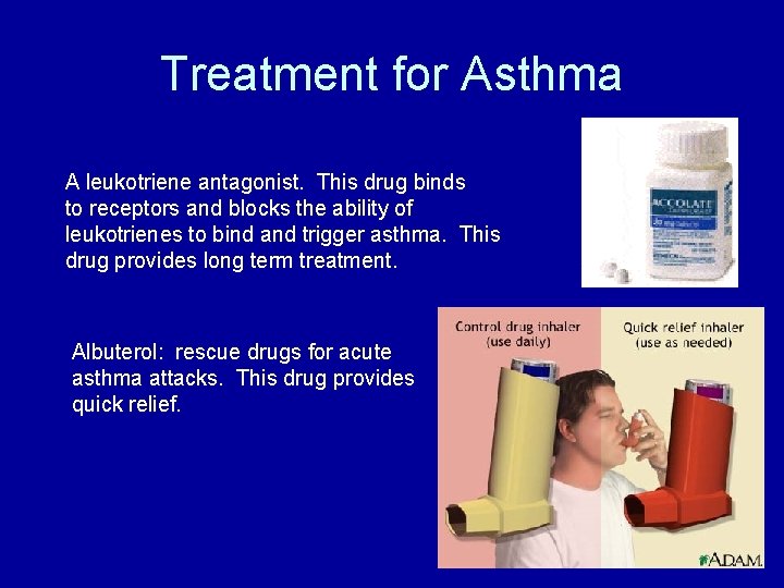 Treatment for Asthma A leukotriene antagonist. This drug binds to receptors and blocks the