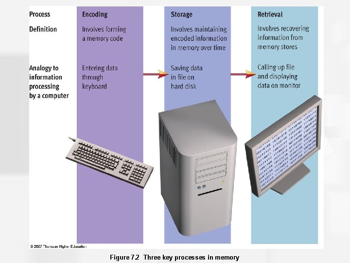 Figure 7. 2 Three key processes in memory 