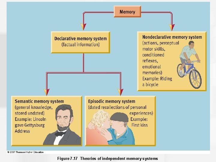 Figure 7. 17 Theories of independent memory systems 