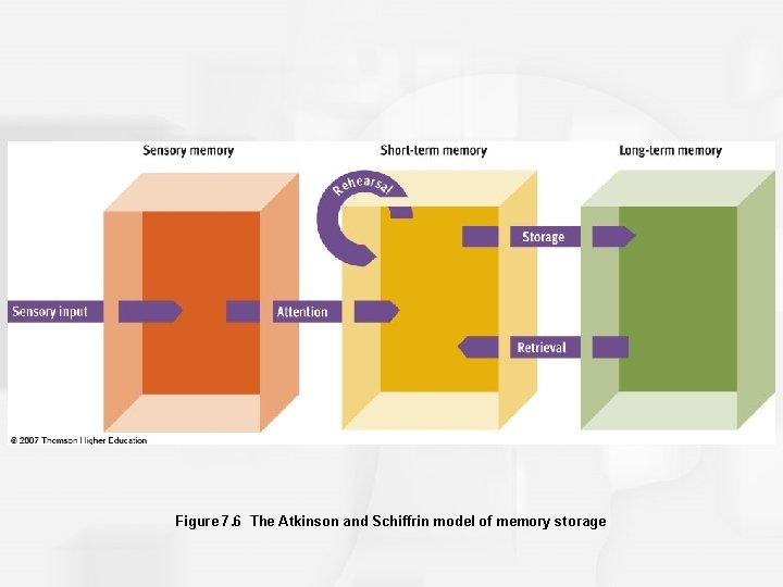 Figure 7. 6 The Atkinson and Schiffrin model of memory storage 