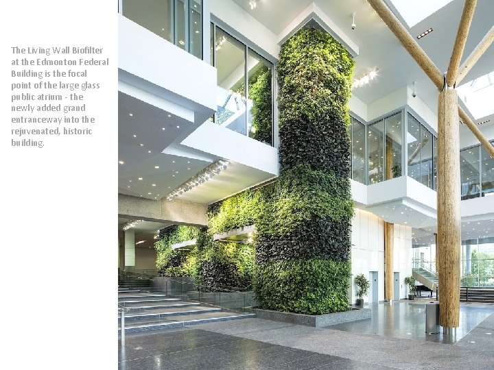 The Living Wall Biofilter at the Edmonton Federal Building is the focal point of