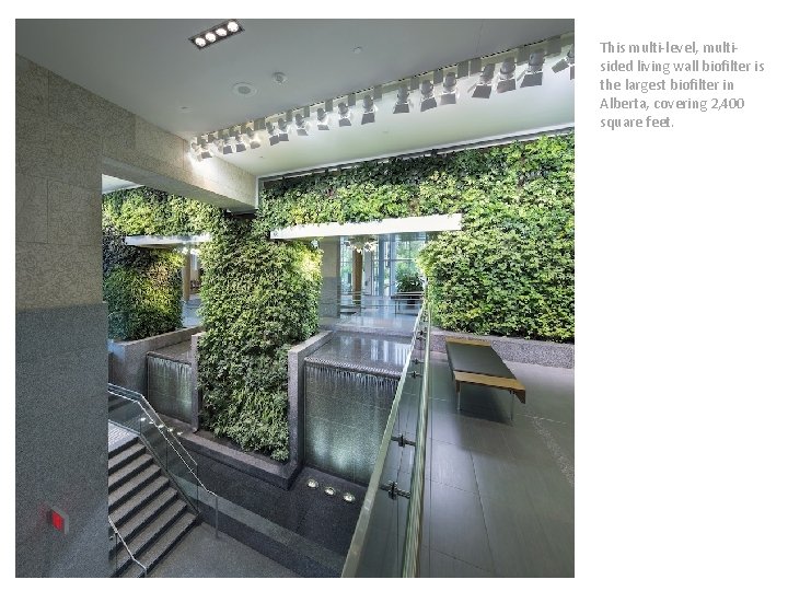 This multi-level, multisided living wall biofilter is the largest biofilter in Alberta, covering 2,