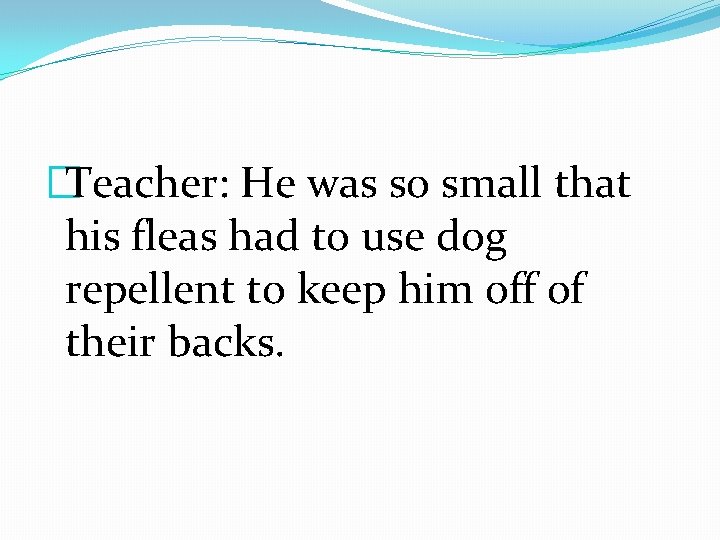 �Teacher: He was so small that his fleas had to use dog repellent to