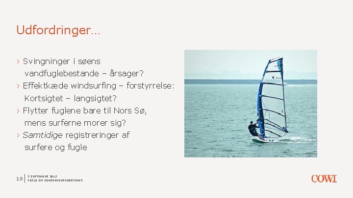 Udfordringer… › Svingninger i søens vandfuglebestande – årsager? › Effektkæde windsurfing – forstyrrelse: Kortsigtet