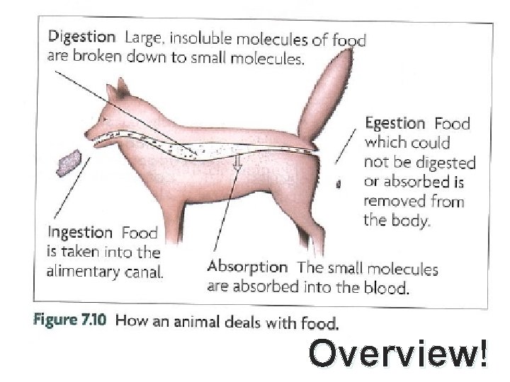 Overview! 