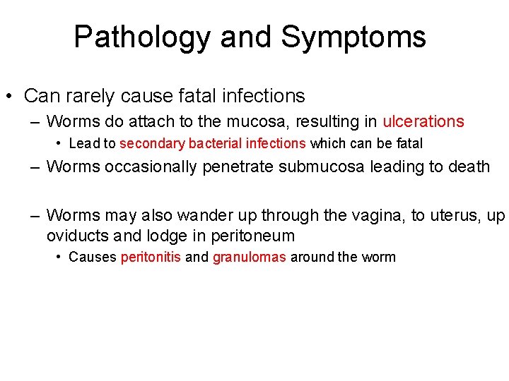 Pathology and Symptoms • Can rarely cause fatal infections – Worms do attach to