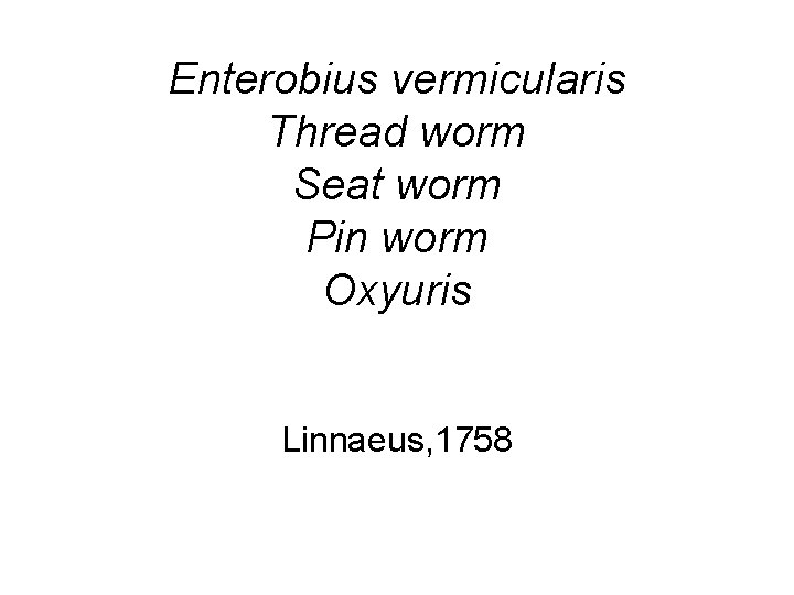 Enterobius vermicularis Thread worm Seat worm Pin worm Oxyuris Linnaeus, 1758 