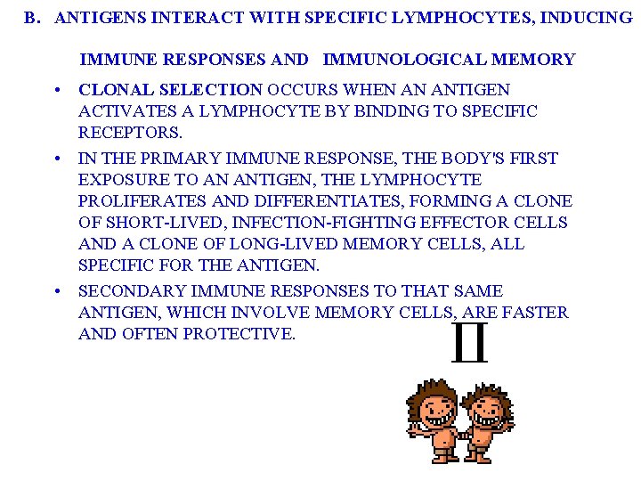 B. ANTIGENS INTERACT WITH SPECIFIC LYMPHOCYTES, INDUCING IMMUNE RESPONSES AND IMMUNOLOGICAL MEMORY • CLONAL