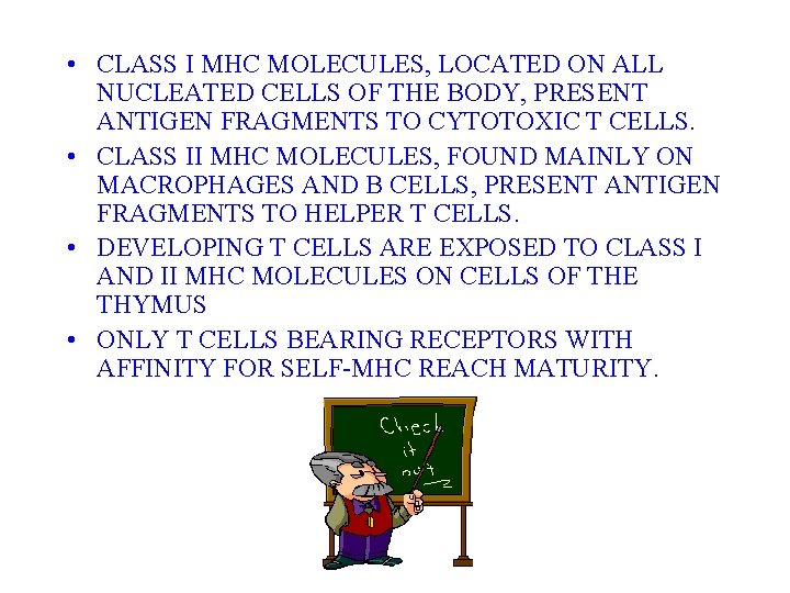  • CLASS I MHC MOLECULES, LOCATED ON ALL NUCLEATED CELLS OF THE BODY,