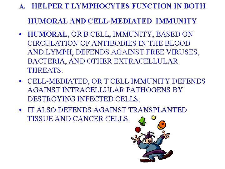 A. HELPER T LYMPHOCYTES FUNCTION IN BOTH HUMORAL AND CELL-MEDIATED IMMUNITY • HUMORAL, OR