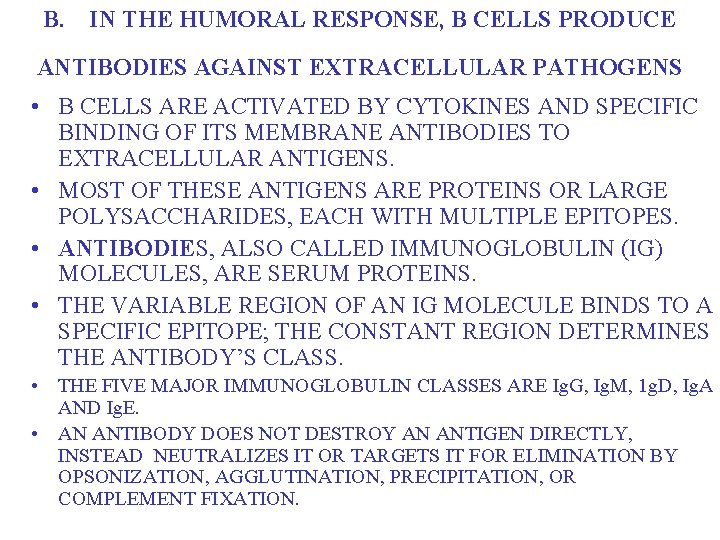 B. IN THE HUMORAL RESPONSE, B CELLS PRODUCE ANTIBODIES AGAINST EXTRACELLULAR PATHOGENS • B