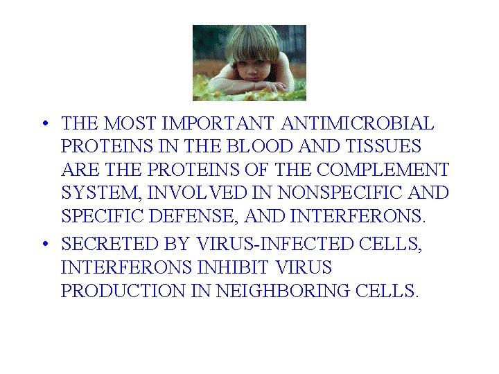  • THE MOST IMPORTANT ANTIMICROBIAL PROTEINS IN THE BLOOD AND TISSUES ARE THE