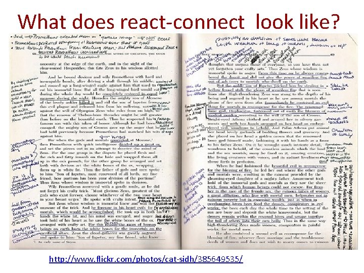 What does react-connect look like? http: //www. flickr. com/photos/cat-sidh/385649535/ 