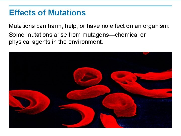 Effects of Mutations can harm, help, or have no effect on an organism. Some