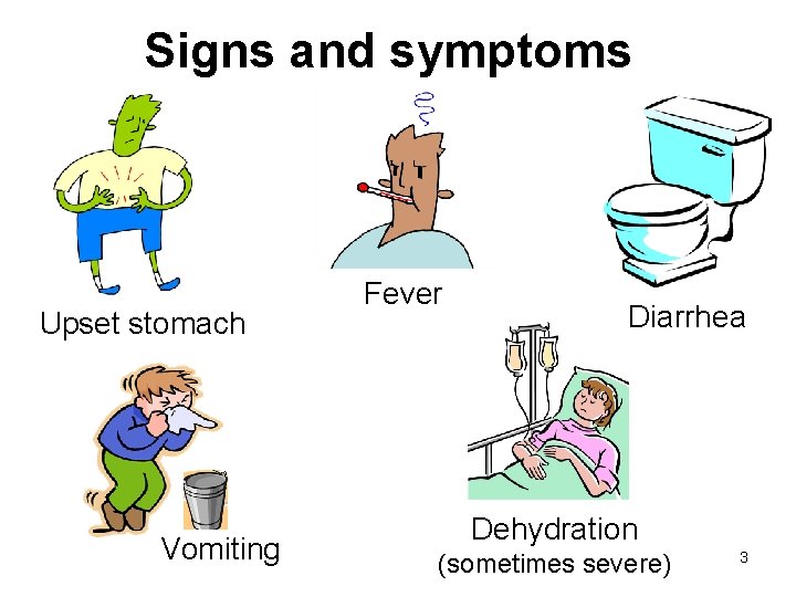 Signs and symptoms Upset stomach Vomiting Fever Diarrhea Dehydration (sometimes severe) 3 