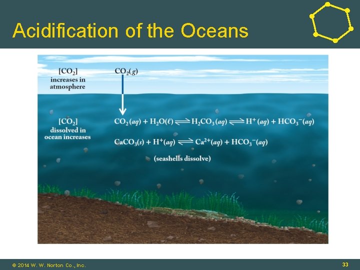 Acidification of the Oceans © 2014 W. W. Norton Co. , Inc. 33 