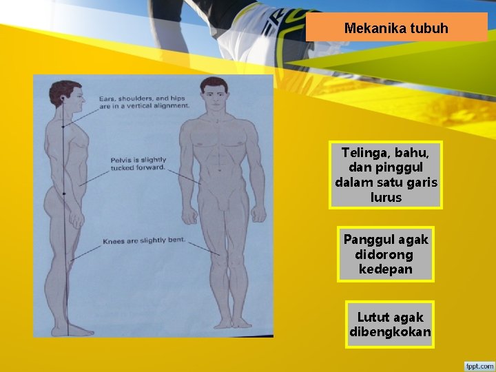 Mekanika tubuh Telinga, bahu, dan pinggul dalam satu garis lurus Panggul agak didorong kedepan