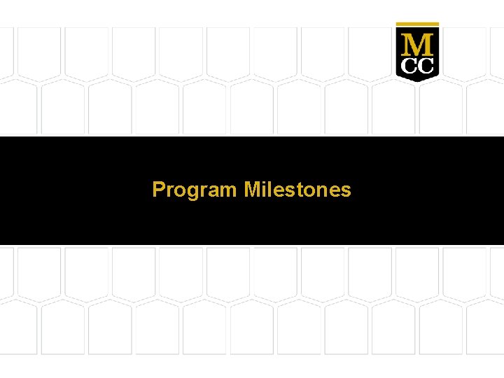 Program Milestones 