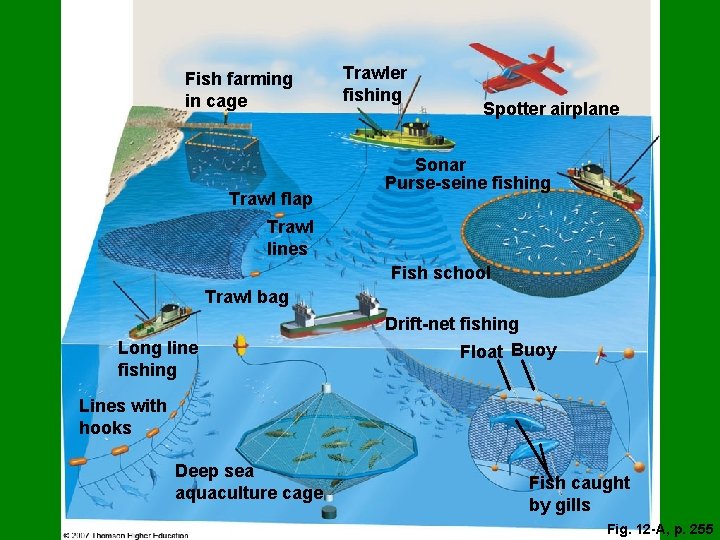 Fish farming in cage Trawl flap Trawler fishing Spotter airplane Sonar Purse-seine fishing Trawl