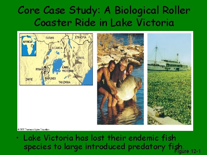 Core Case Study: A Biological Roller Coaster Ride in Lake Victoria • Lake Victoria
