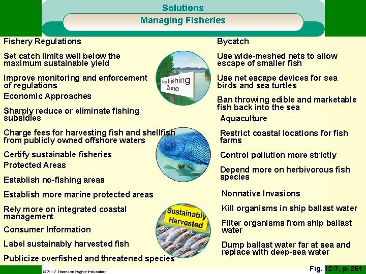 Solutions Managing Fisheries Fishery Regulations Bycatch Set catch limits well below the maximum sustainable