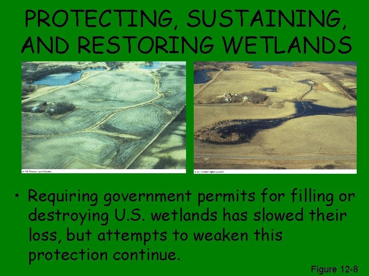 PROTECTING, SUSTAINING, AND RESTORING WETLANDS • Requiring government permits for filling or destroying U.