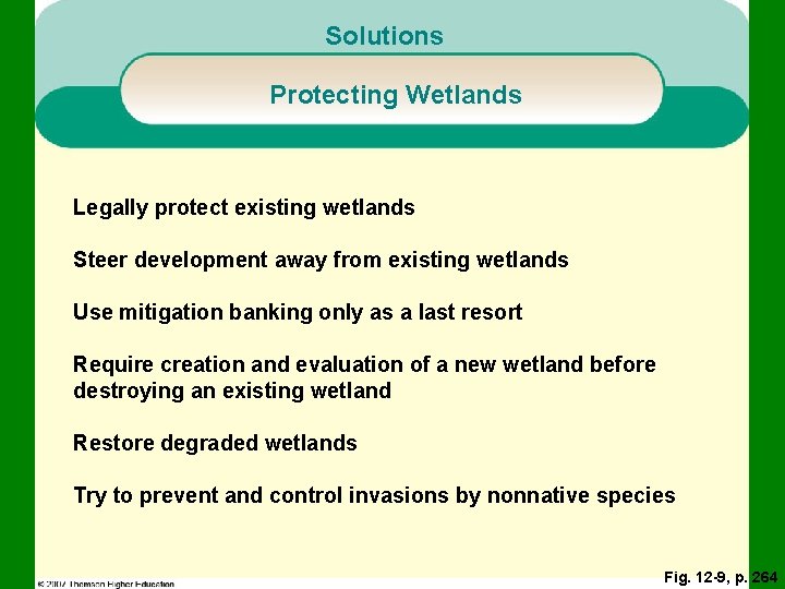 Solutions Protecting Wetlands Legally protect existing wetlands Steer development away from existing wetlands Use