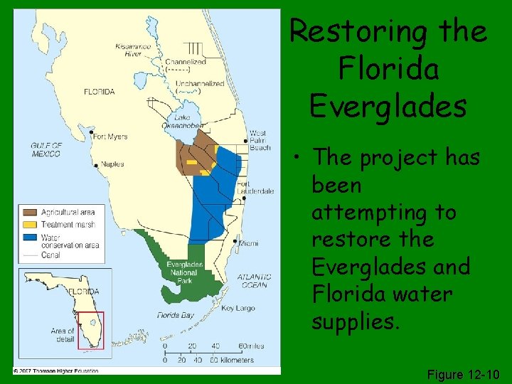 Restoring the Florida Everglades • The project has been attempting to restore the Everglades