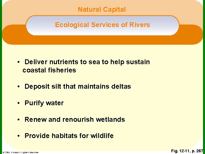 Natural Capital Ecological Services of Rivers • Deliver nutrients to sea to help sustain