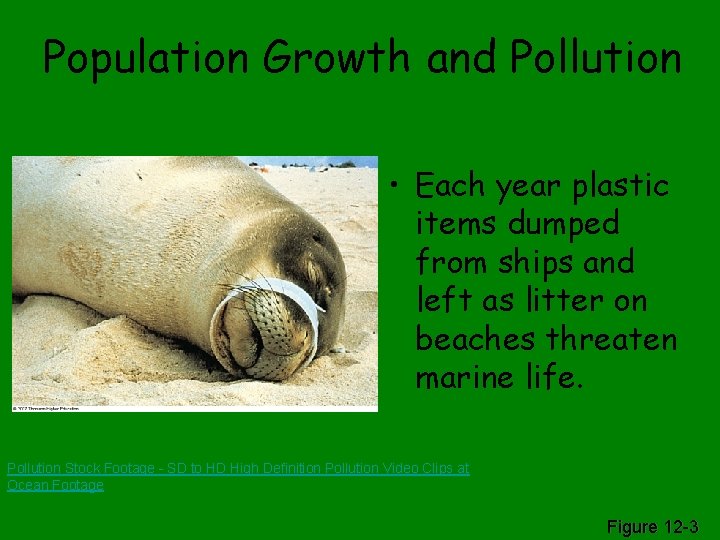 Population Growth and Pollution • Each year plastic items dumped from ships and left