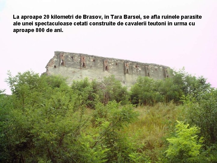 La aproape 20 kilometri de Brasov, in Tara Barsei, se afla ruinele parasite ale