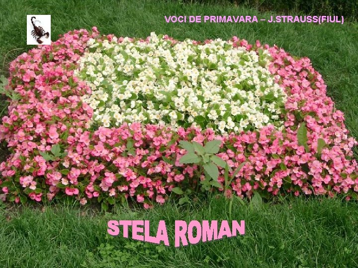 VOCI DE PRIMAVARA – J. STRAUSS(FIUL) 