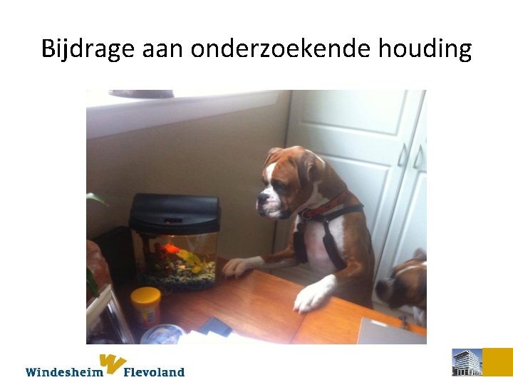 Bijdrage aan onderzoekende houding 