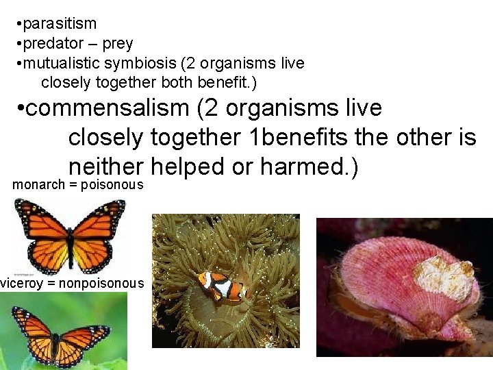  • parasitism • predator – prey • mutualistic symbiosis (2 organisms live closely