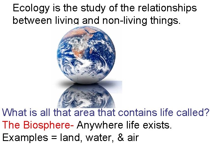 Ecology is the study of the relationships between living and non-living things. What is