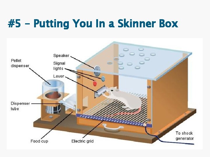 #5 – Putting You In a Skinner Box 19 