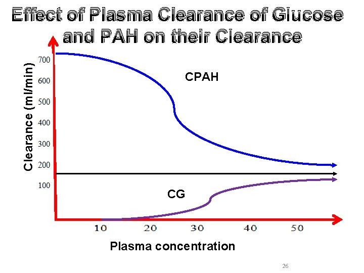 Clearance (ml/min) Effect of Plasma Clearance of Glucose and PAH on their Clearance CPAH