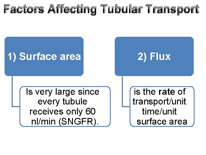 Factors Affecting Tubular Transport 1) Surface area Is very large since every tubule receives