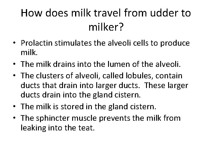 How does milk travel from udder to milker? • Prolactin stimulates the alveoli cells