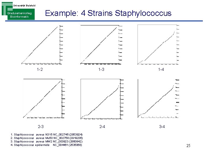 Universität Bielefeld Example: 4 Strains Staphylococcus Graduiertenkolleg Bioinformatik 1 -2 1 -3 1 -4