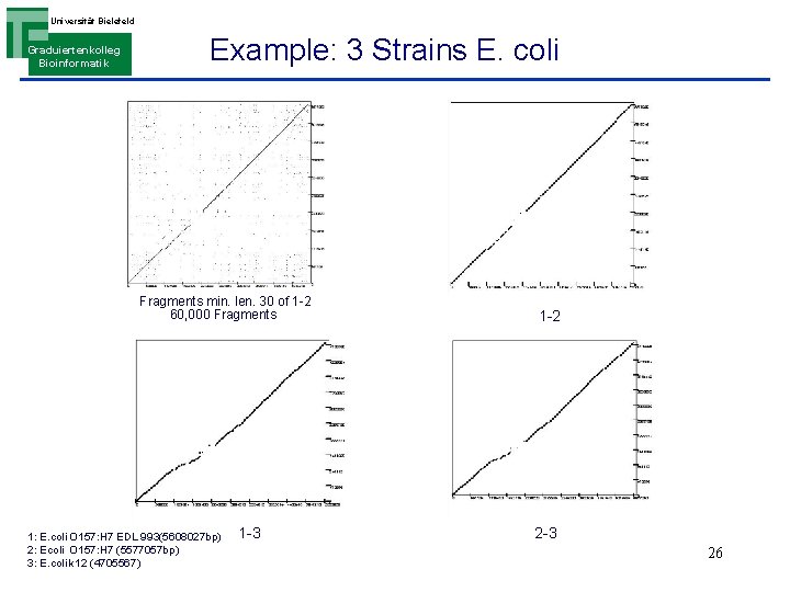 Universität Bielefeld Graduiertenkolleg Bioinformatik Example: 3 Strains E. coli Fragments min. len. 30 of