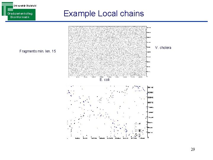 Universität Bielefeld Graduiertenkolleg Bioinformatik Example Local chains V. cholera Fragments min. len. 15 E.