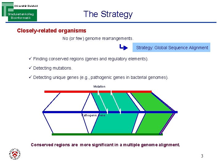 Universität Bielefeld The Strategy Graduiertenkolleg Bioinformatik Closely-related organisms No (or few) genome rearrangements. Strategy:
