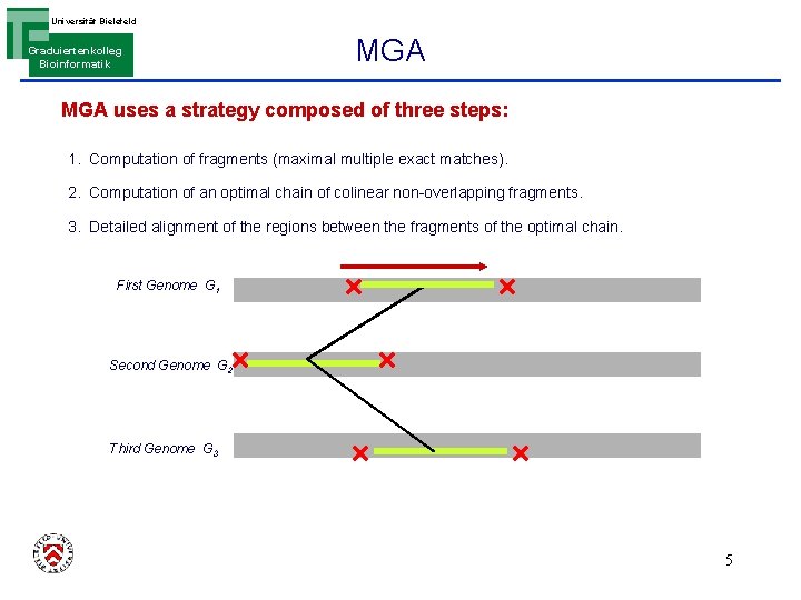 Universität Bielefeld Graduiertenkolleg Bioinformatik MGA uses a strategy composed of three steps: 1. Computation