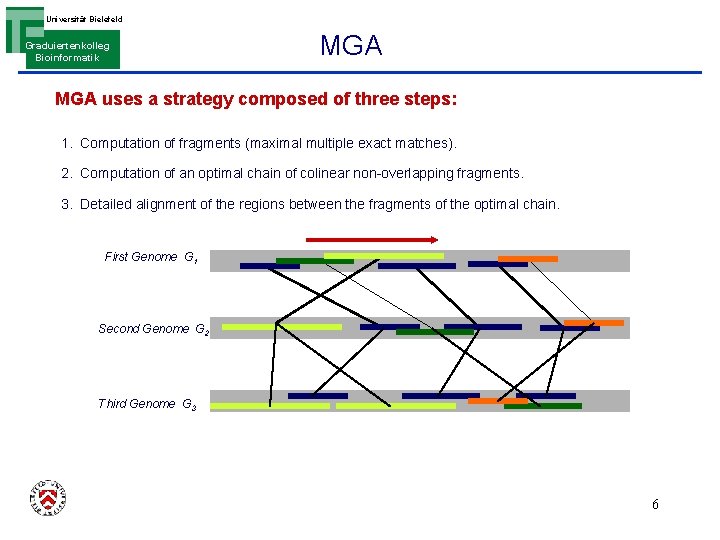 Universität Bielefeld Graduiertenkolleg Bioinformatik MGA uses a strategy composed of three steps: 1. Computation