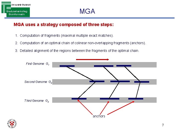 Universität Bielefeld Graduiertenkolleg Bioinformatik MGA uses a strategy composed of three steps: 1. Computation