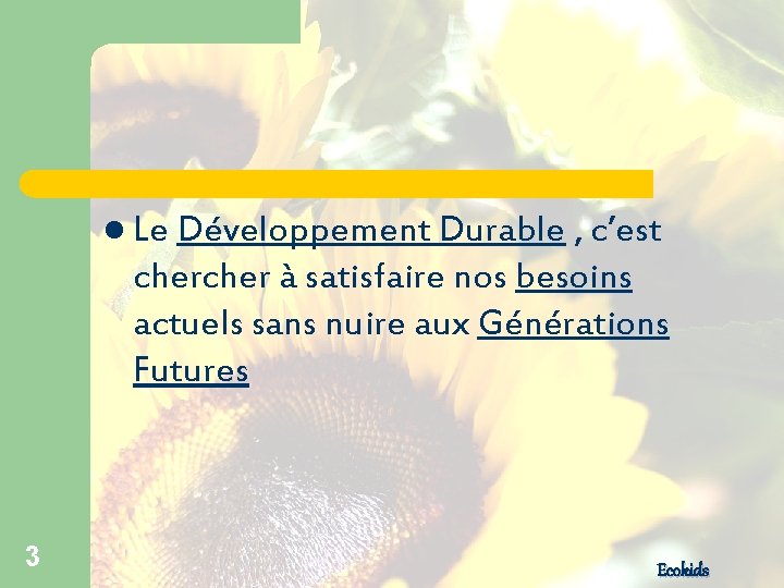 Ecokids Acteurs du Dveloppement Durable 1 Le Dveloppement
